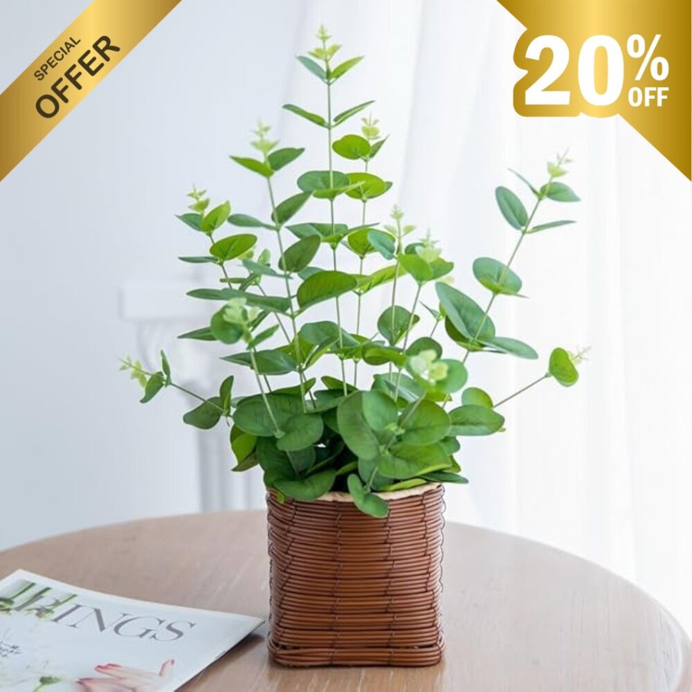 16" Eucalyptus Artificial Plant in Coffee Pot with Stones – Faux Indoor Decor